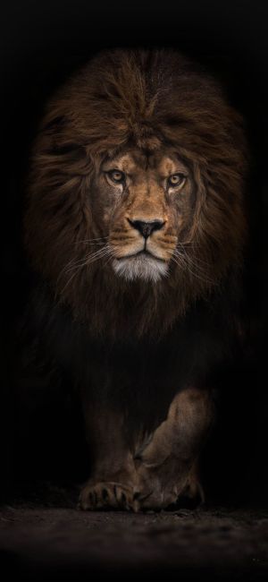 Wallpaper